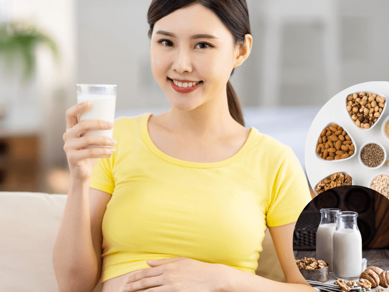 sữa hạt dinh dưỡng cho bà bầu