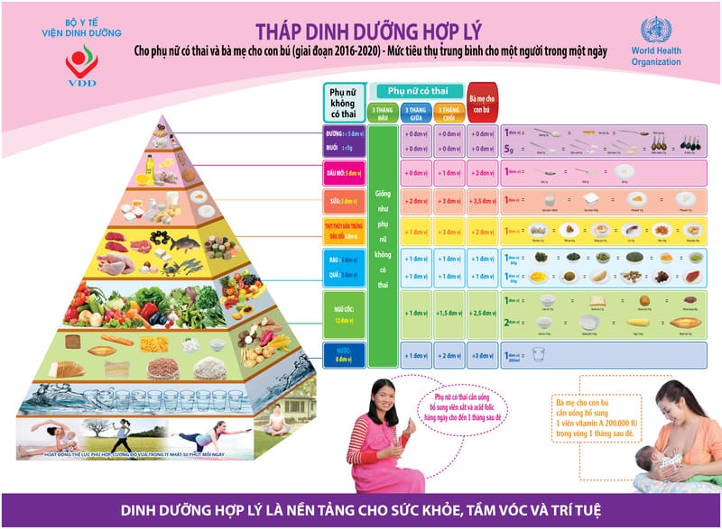 Tháp dinh dưỡng cho phụ nữ mang thai